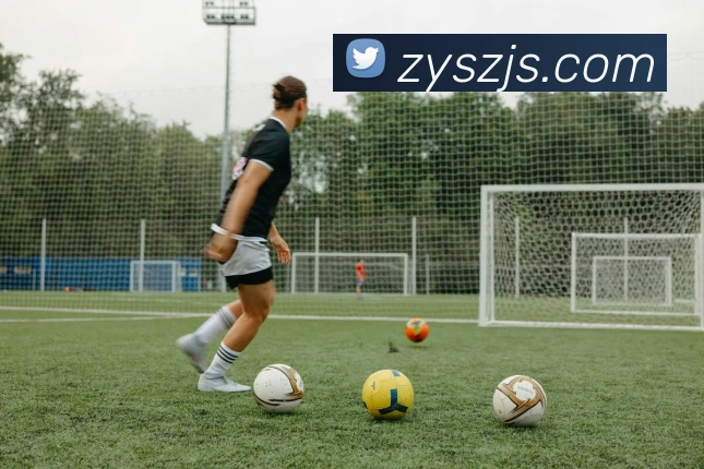 爱彩8平台生态图